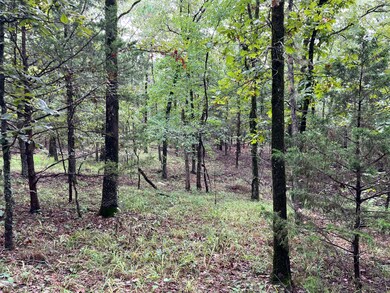 Tbd 0030 Goats Bluff Summerfield Oklahoma, Summerfield, OK 74966 - photo 7