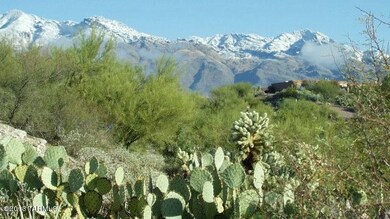 4632 N Paseo Pitiquito, Tucson, AZ 85750 - photo 3