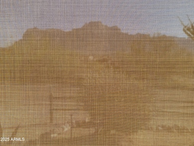 Mtn through screen in porch