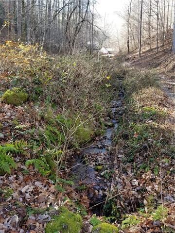 000 Roaring Fork Rd, Burnsville, NC 28714 - photo 7