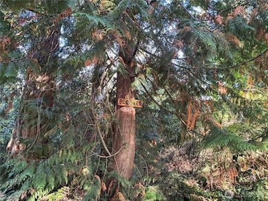 17745 Vine Ln SE, Yelm, WA 98597 - photo 3