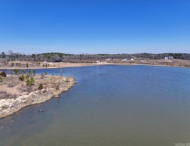 000 Snorting Buffalo Trail, Hot Springs, AR 71901 - photo 4