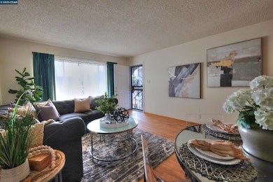 1428 Saint Frances Dr, Antioch, CA 94509 - photo 5