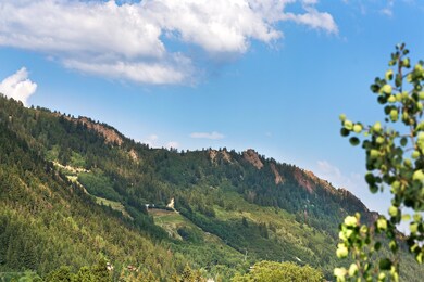 123 Mountain Laurel Dr, Aspen, CO 81611 - photo 4