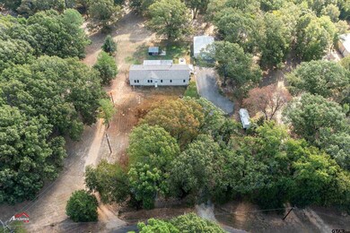 10137 County Road 3197, Arp, TX 75750 - photo 2