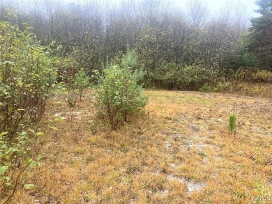 0 Gillies Hill Rd unit S1649074, Birdsall, NY 14822 - photo 2