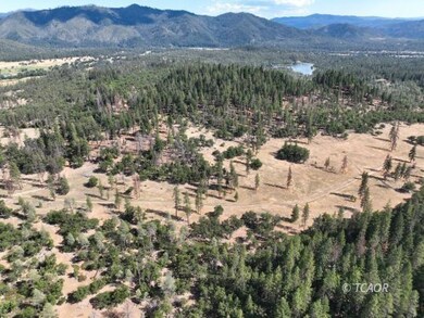 159 Buck, Hayfork, CA 96041 - photo 4