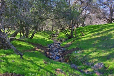 160 Ac Cotton Creek Rd, Mariposa, CA 95338 - photo 2