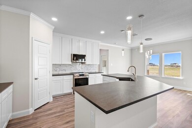 170 Jupiter Trail, Weatherford, TX 76088 - photo 6