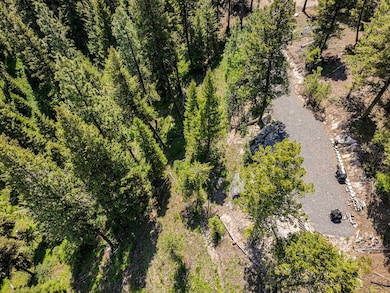 Wooded Lot