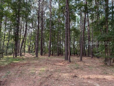 464 Paige Point Bluff, Seabrook, SC 29940 - photo 4