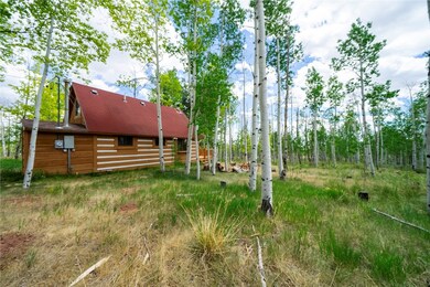 326 Canthook Ln, Fairplay, CO 80440 - photo 6