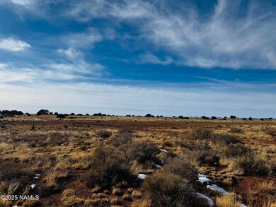 3584 E Wingfield Rd, Grand Canyon Junction, AZ 86046 - photo 4
