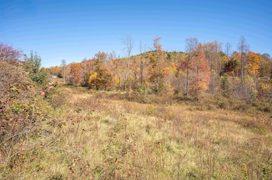 971 Phadettia Rd SW, Willis, VA 24380 - photo 5