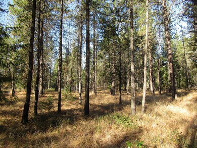 IMG_1305-001