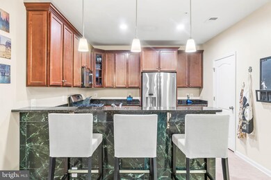 24636 Woolly Mammoth Terrace unit E-203, Aldie, VA 20105 - photo 5