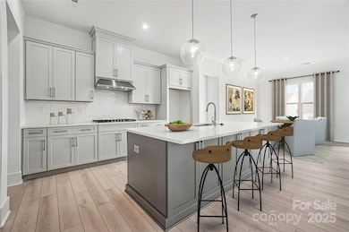 5301 Mint Harbor Way unit 315, Charlotte, NC 28269 - photo 5