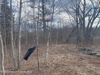 700 Block Rear North Valley Ave, Olyphant, PA 18447 - photo 3