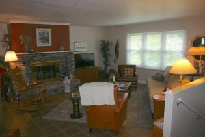 Living room fireplace