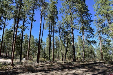 733 Red Canyon Trail, Durango, CO 81301 - photo 6