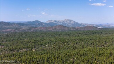 00 S Senator Hwy, Groom Creek, AZ 86303 - photo 5