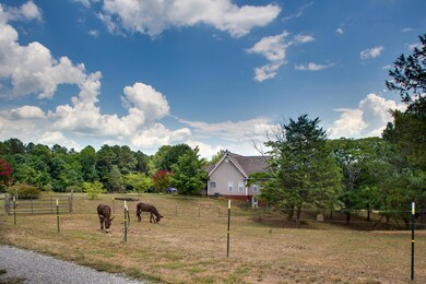 20160804_462ShadowSprings_0453Enfuse