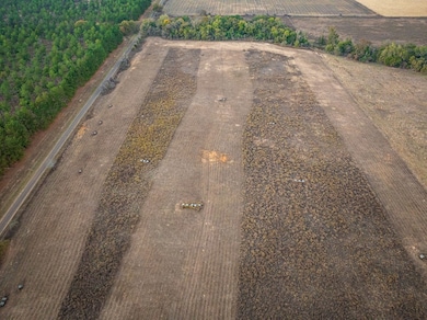 002 An County Road 117, Elkhart, TX 75839 - photo 3