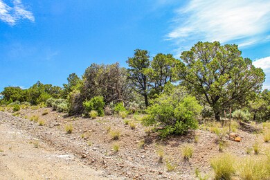 0 Alexandre unit 25553701, Fort Garland, CO 81133 - photo 7