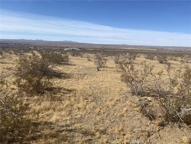 0 Delmonico Rd unit TR24226685, Oro Grande, CA 92368 - photo 2