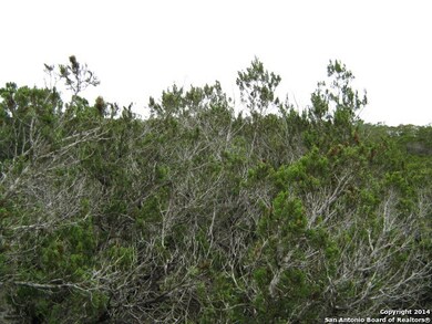 12326 Calvert, Helotes, TX 78023 - photo 7