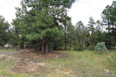 Mixed Vegetation