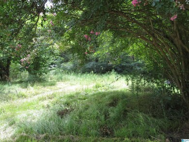 19410 Abernant Loop N, Vance, AL 35490 - photo 4