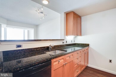 The Crescent unit 907, Silver Spring, MD 20910 - photo 7