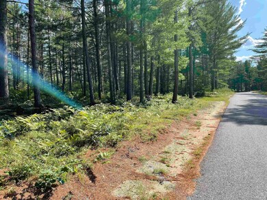 16 Red Barron Rd, West Ossipee, NH 03890 - photo 4