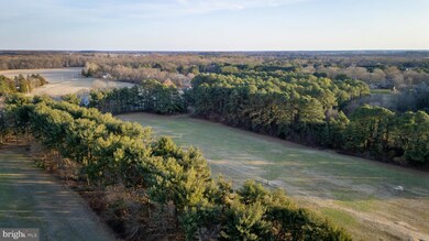 510 Truslow Rd, Chestertown, MD 21620 - photo 3