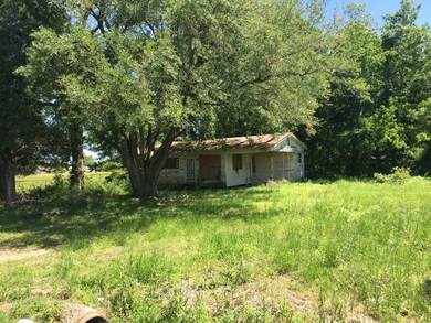 Mardi Gras Rd. Pic 15