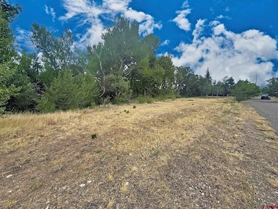 0 Highway 160, South Fork, CO 81154 - photo 3