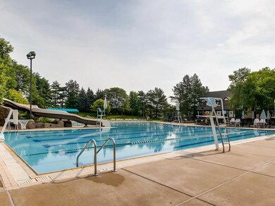 3119 Darwin St, Naperville, IL 60564 - photo 4