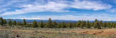 Panoramic Views