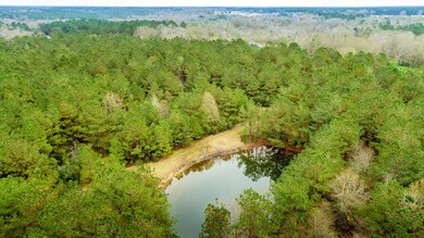 60 Les Hammond Rd, Tylertown, MS 39667 - photo 2