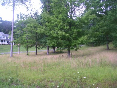 View #4