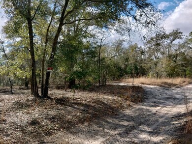 Lot 15 NE 17th Ave, Branford, FL 32008 - photo 3