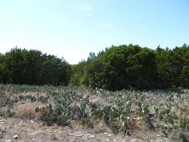 8011 Fawn Dr, Whitney, TX 76692 - photo 6