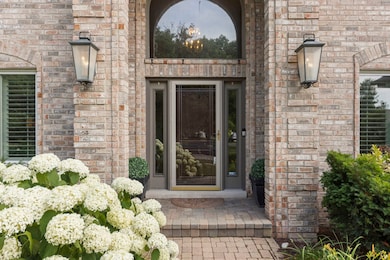 816 Spindletree Ave, Naperville, IL 60565 - photo 2