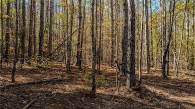 0 Jones Ferry Rd unit Lot 2, Palmetto, GA 30268 - photo 4