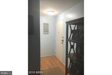 10724 West Dr unit 201, Fairfax, VA 22030 - photo 3
