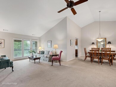 510 Banyon Ln unit C, La Grange, IL 60525 - photo 4