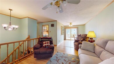 Living room with crown molding, ceiling fan, light