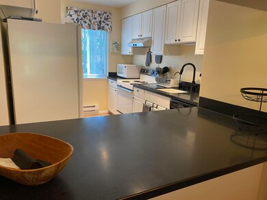 18 Windsor Hill Way unit C61, Waterville Valley, NH 03215 - photo 7