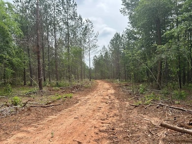 Ga Hwy 142, Shady Dale, GA 31064 - photo 3